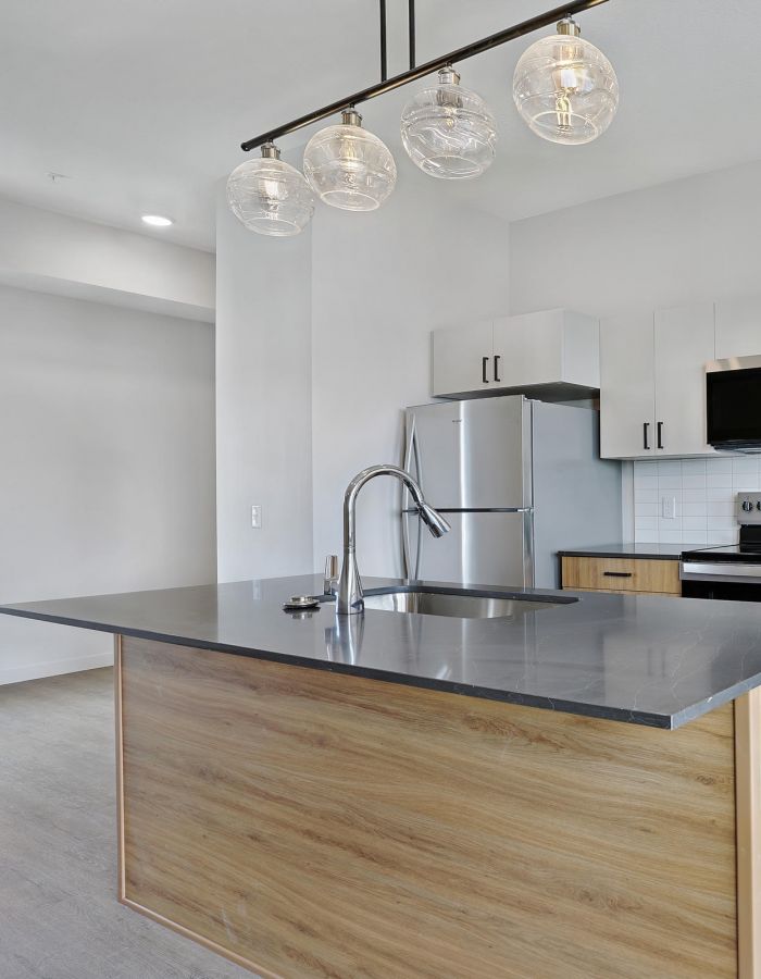 Modern kitchen with wood cabinets, gray countertops, stainless steel appliances, and pendant lights.